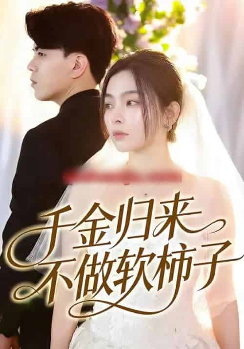 千金归来不做软柿子(46集全)张晓楠&董文锦-搜外项目网