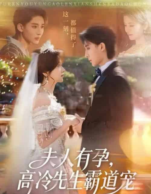 夫人有孕，高冷先生霸道宠（60集全）李思潼＆译泽-搜外项目网
