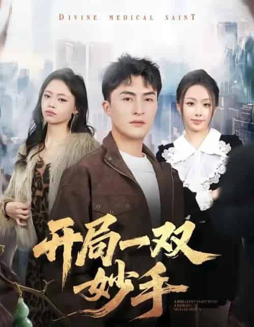 开局一双妙手(66集全)林屿海&史智恩-搜外项目网