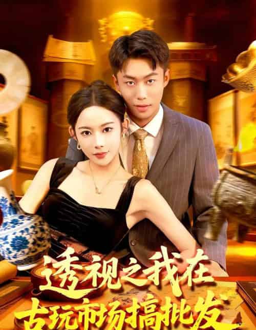 透视之我在古玩市场搞批发（130集全）赵书苑＆杨林涛-搜外项目网