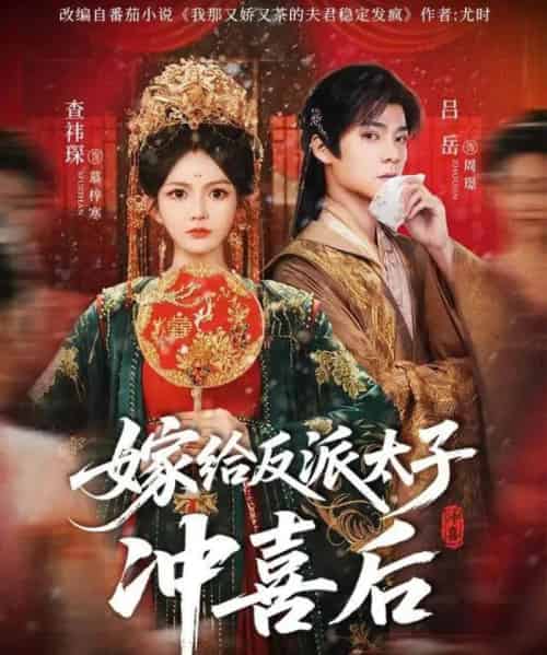 嫁给反派太子冲喜后(64集全)吕岳&查袆琛-搜外项目网