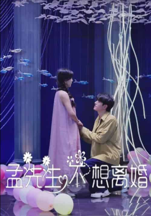 孟先生不想离婚（30集全）孟济川＆宋暖-搜外项目网