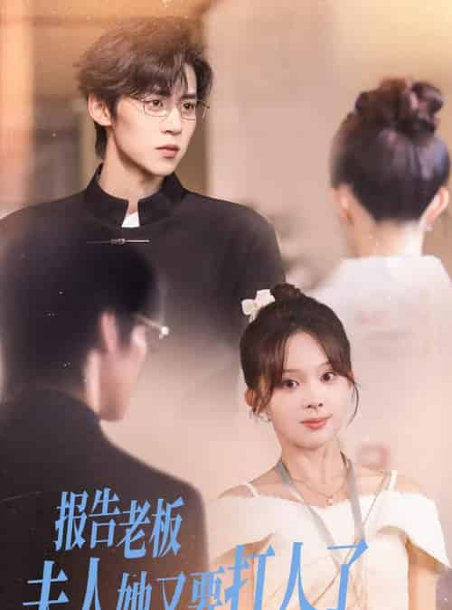 报告老板夫人她又要打人了(63集全)张东梓&朱傲宇-搜外项目网