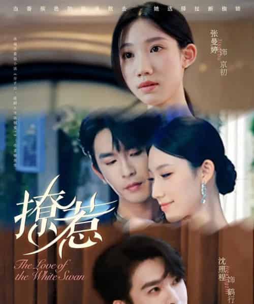 撩惹（80集全）张曼婷＆沈照程-搜外项目网