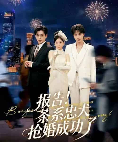 报告！茶系忠犬抢婚成功了（83集全）夏志成＆李珈童-搜外项目网
