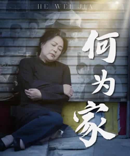 何为家（60集全）李滨俞＆薛琪 - 搜外短剧