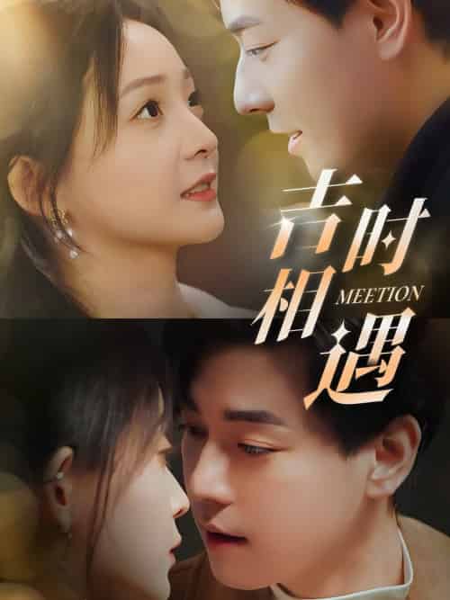 吉时相遇（80集全）许丹＆袁志颖-搜外项目网