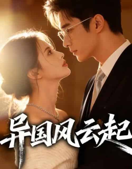 异国风云起（40集全）Ai-搜外项目网