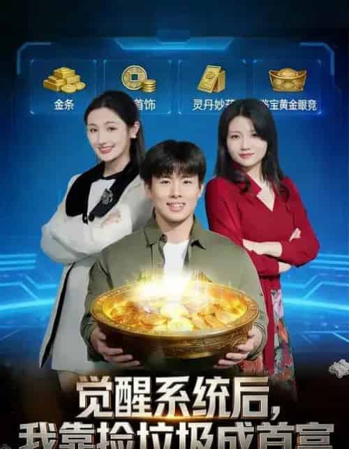 觉醒系统后，我靠捡垃圾成首富（77集全）何子茜＆赵熠城-搜外项目网