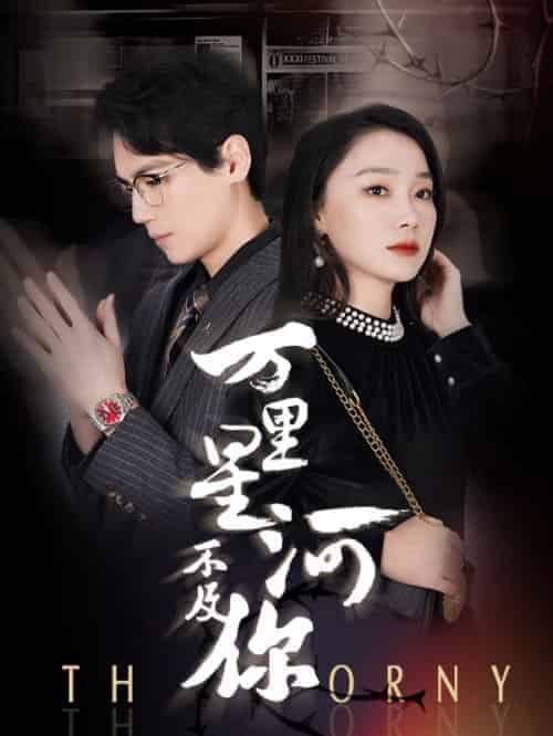 万里星河不及你（90集全）慕西沉＆苏夏-搜外项目网