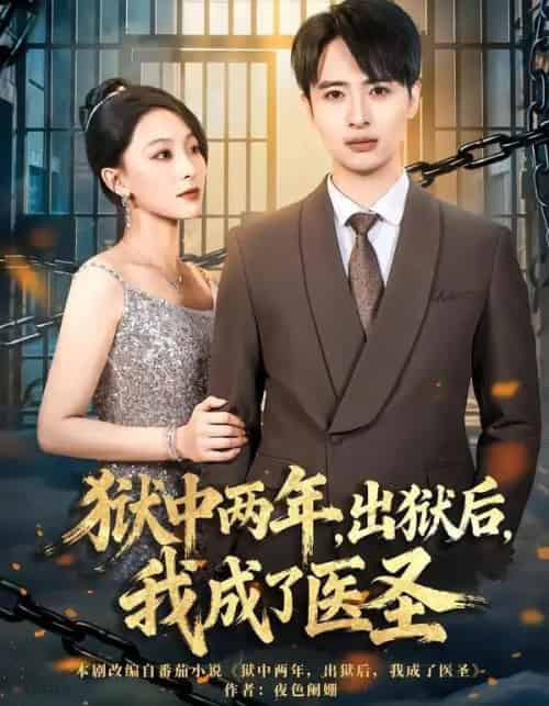 狱中两年,出狱后,我成了医圣(79集全)王奕嘉&王成-搜外项目网