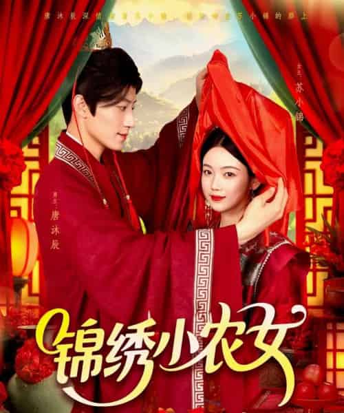 锦绣小农女(95集)杨振玲&张青-搜外项目网