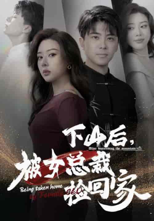 下山后，被女总裁捡回家（95集全）林辰＆楚嘉雪-搜外项目网