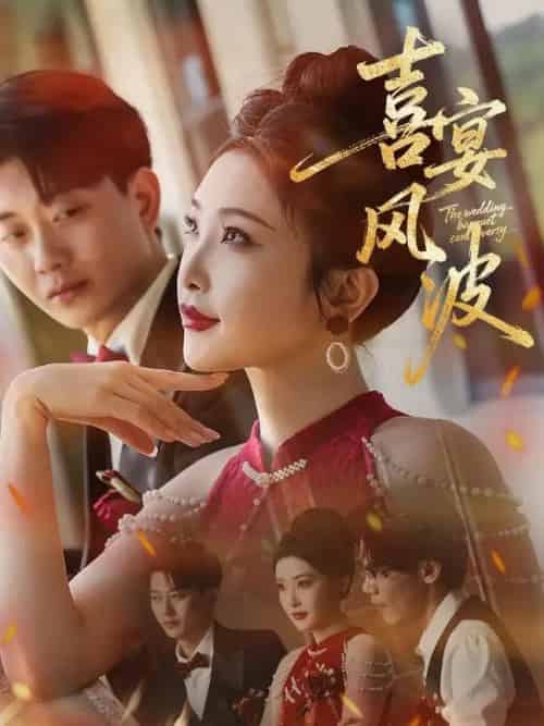 喜宴风波＆替罪伴娘（30集）张璇＆张逊-搜外项目网