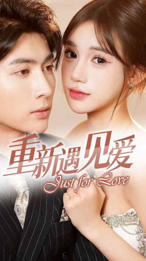 重新遇见爱＆换婚后我成了大哥的心尖宠（36集全）王子林-搜外项目网