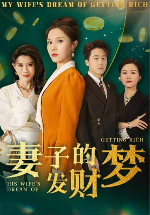 妻子的发财梦(52集全)顾远&苏清雪-搜外项目网
