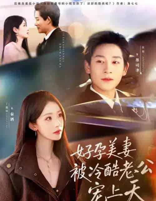 好孕美妻被冷酷老公宠上天&乌鸦嘴小锦鲤超旺妈(80集全)张旋&丁璐瑶-搜外项目网