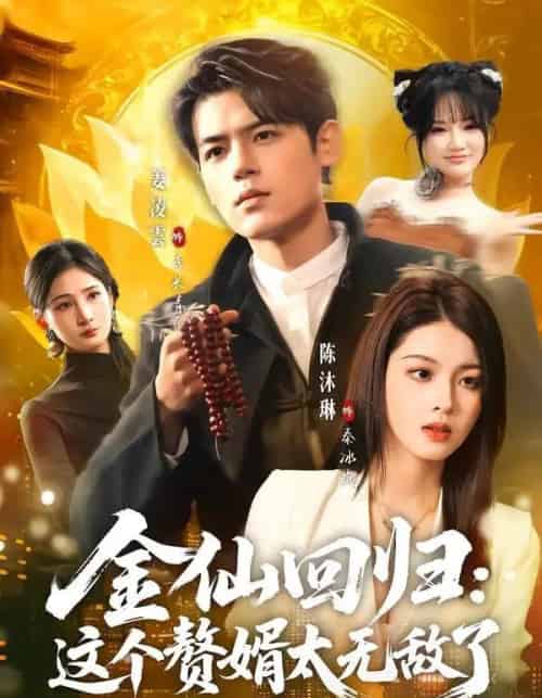金仙回归:这个赘婿太无敌了(76集全)姜凌雲&陈沐琳-搜外项目网