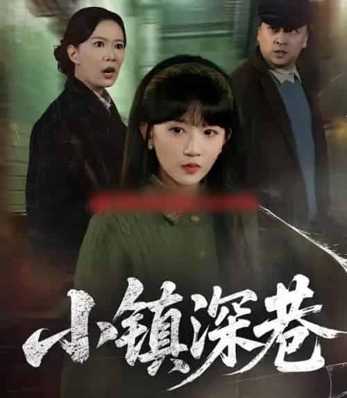 小镇深巷（60集全）徐蕾＆程妤-搜外项目网