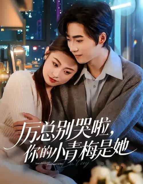 厉总别哭啦,你的小青梅是她(70集全)薛薛&吴嘉欢&吴宜橙-搜外项目网
