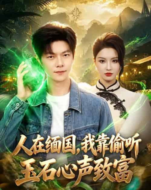 人在缅国，我靠偷听玉石心声致富（80集全）刘瀚阳＆陈沐琳-搜外项目网