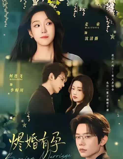 烬婚有孕（61集全）何连飞＆麦童-搜外项目网