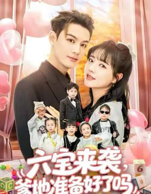 六宝来袭，爹地准备好了吗＆六宝来袭霍总他壕无人性（64集全）林永炬＆李雪丹-搜外项目网