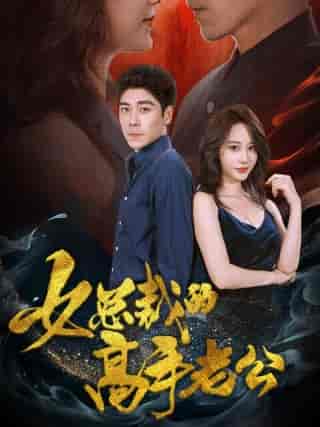 女总裁的高手老公（75集全）张瀚文-搜外项目网