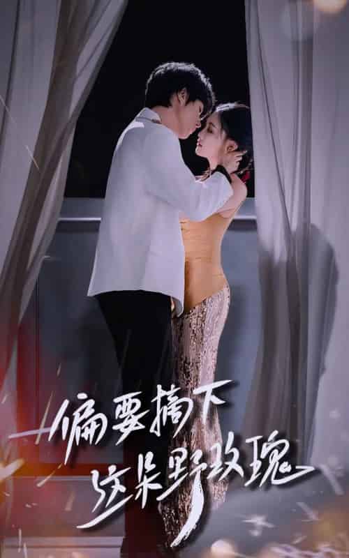 偏要摘下这朵野玫瑰（60集）燕颢元＆张亚迪-搜外项目网