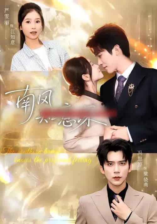 南风知意深（40集全）冯思源＆严雯丽-搜外项目网