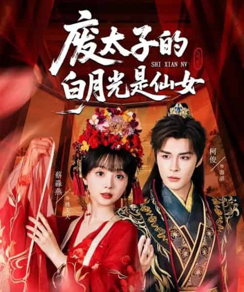 废太子的白月光是仙女(64集)邹柯俊&蔡淼燕-搜外项目网