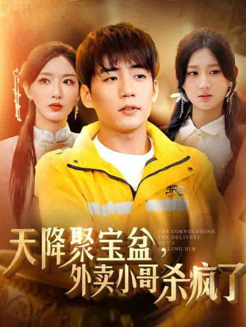 我有一个聚宝盆&天降聚宝盆外卖小哥杀疯了(81集全)杜培源&杨珊子&孙露鹭-搜外项目网