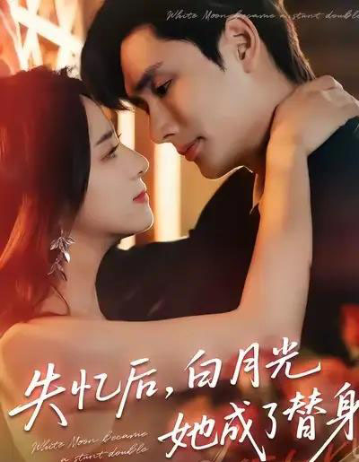 失忆后，白月光她成了替身（70集全）孙捷平＆杨洛仟-搜外项目网