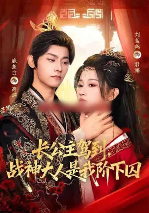 长公主驾到，战神大人是我阶下囚（78集全）鹿荼白＆刘蓝鸽-搜外项目网