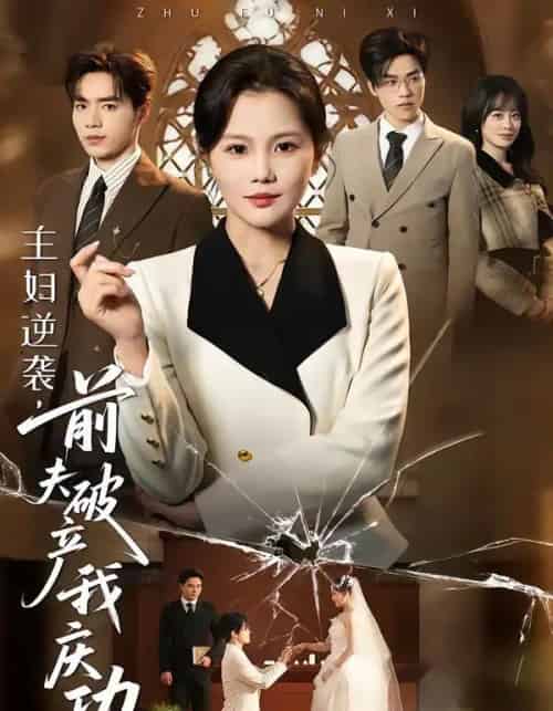 主妇逆袭，前夫破产我庆功（36集全）向云茜＆陈团-搜外项目网