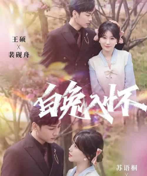 白兔入怀(60集全)星硕&苏语桐-搜外项目网