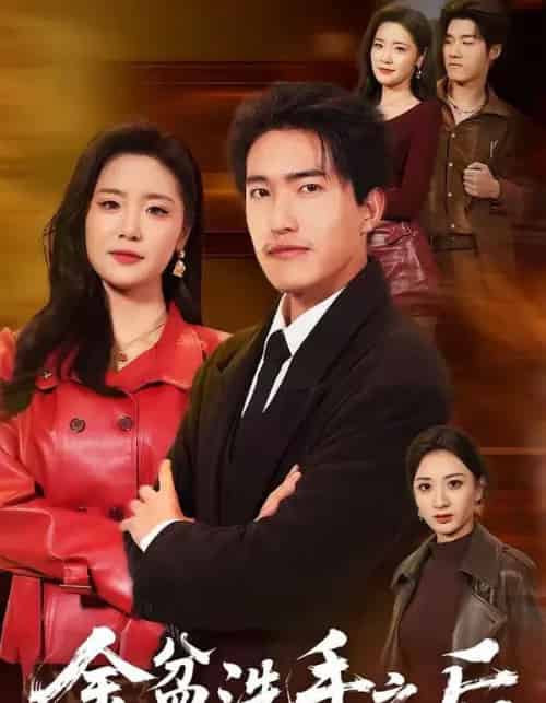 金盆洗手之后（62集全）刘小龙＆黄嘉琪-搜外项目网