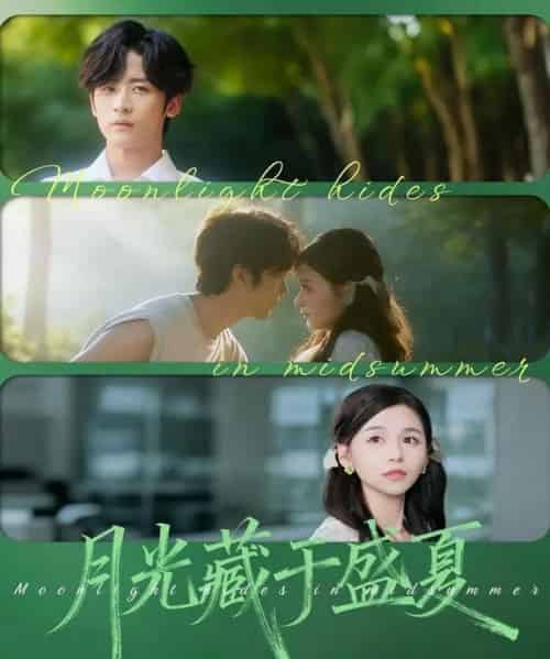月光藏于盛夏（102集全）林昱希＆刘思源-搜外项目网