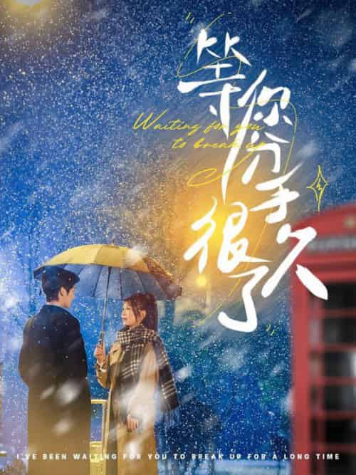 等你分手很久了(86集全)段美洋&彭瑶-搜外项目网