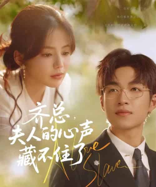 齐总夫人的心声藏不住了（69集）袁可谦＆夏婧苒-搜外项目网