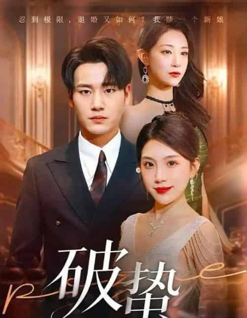 破蛰（80集全）白宗炎＆齐博然-搜外项目网