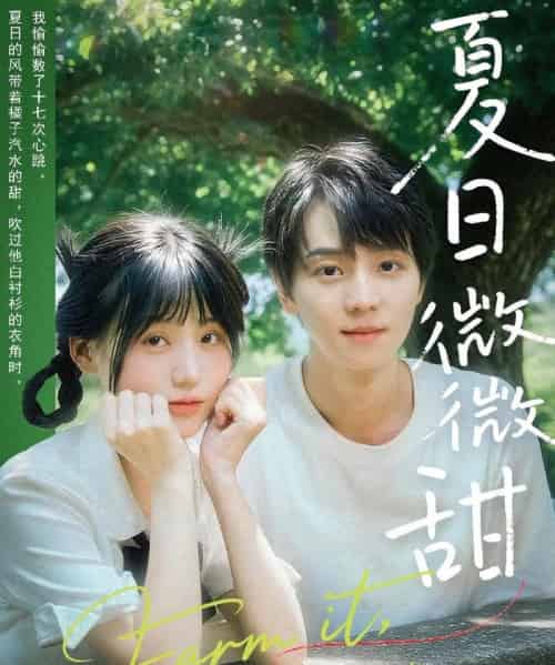夏日微微甜（79集）苏泽林＆宋澎澎-搜外项目网