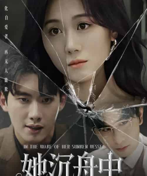 她沉舟中（71集）吴彤-搜外项目网