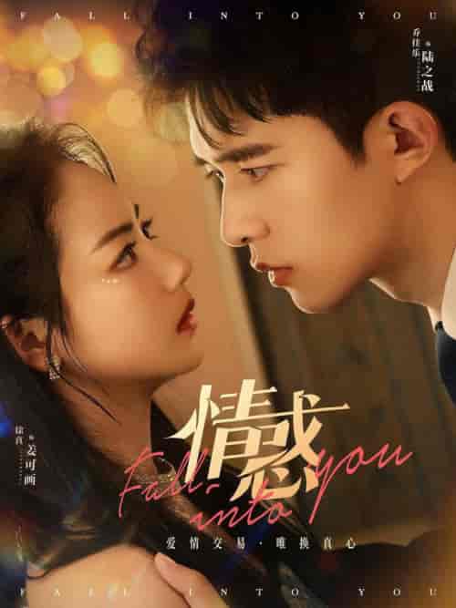 情惑（80集全）乔佳乐-搜外项目网