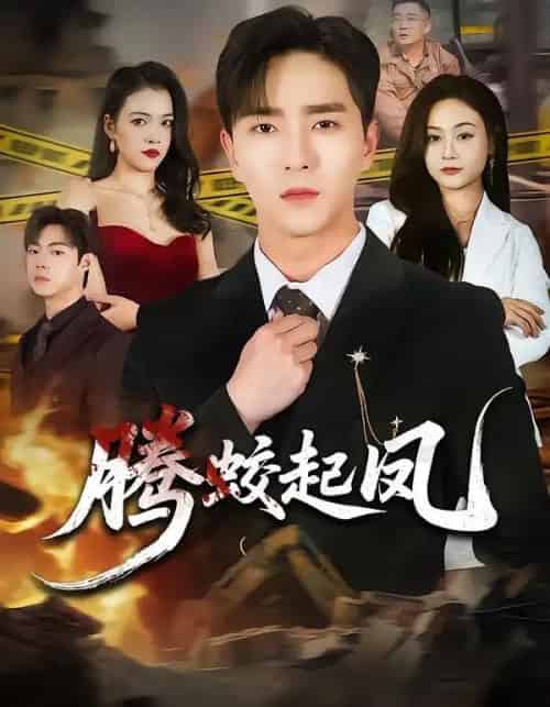 腾蛟起凤（79集全）田星熠＆罐小结-搜外项目网