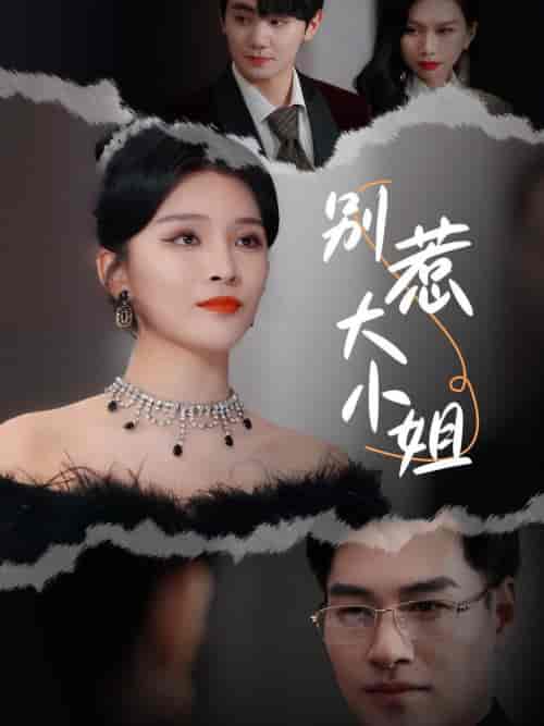 别惹大小姐（31集全）杨妍-搜外项目网