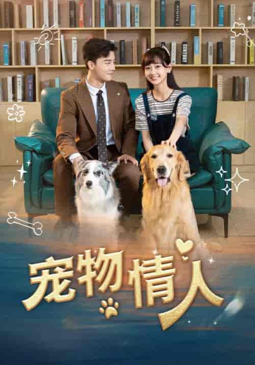 宠物情人(42集全)韩忠羽-搜外项目网