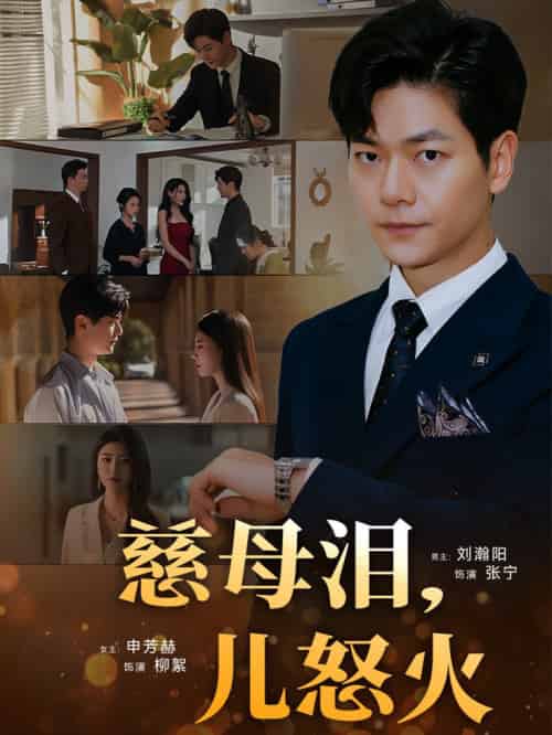 慈母泪儿怒火（50集全）刘瀚阳＆申芳赫-搜外项目网