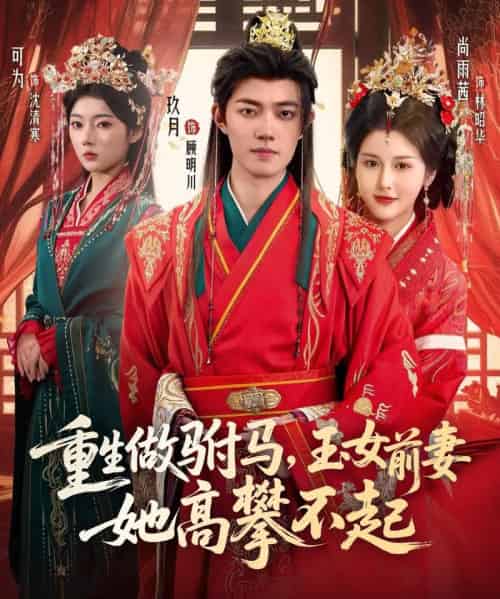 重生做驸马，玉女前妻她高攀不起（79集全）玖月＆尚雨茜＆可为-搜外项目网