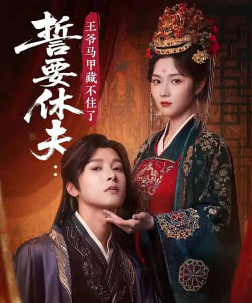 誓要休夫王爷马甲藏不住了（78集）冯俊熙＆刘容格-搜外项目网